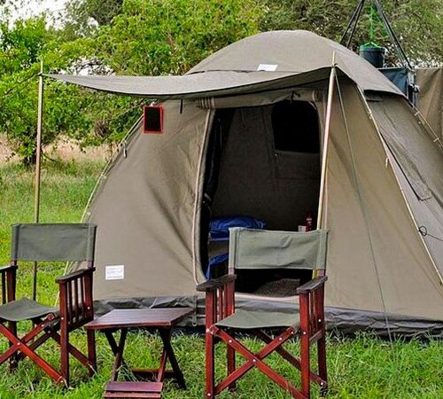 5 days tanzania camping safari