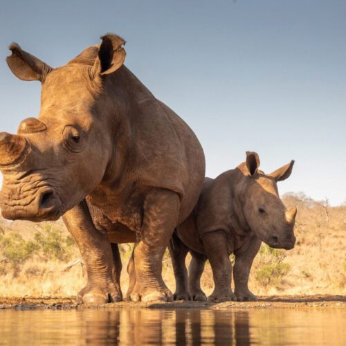 MKOMAZI-NATIONAL-PARK