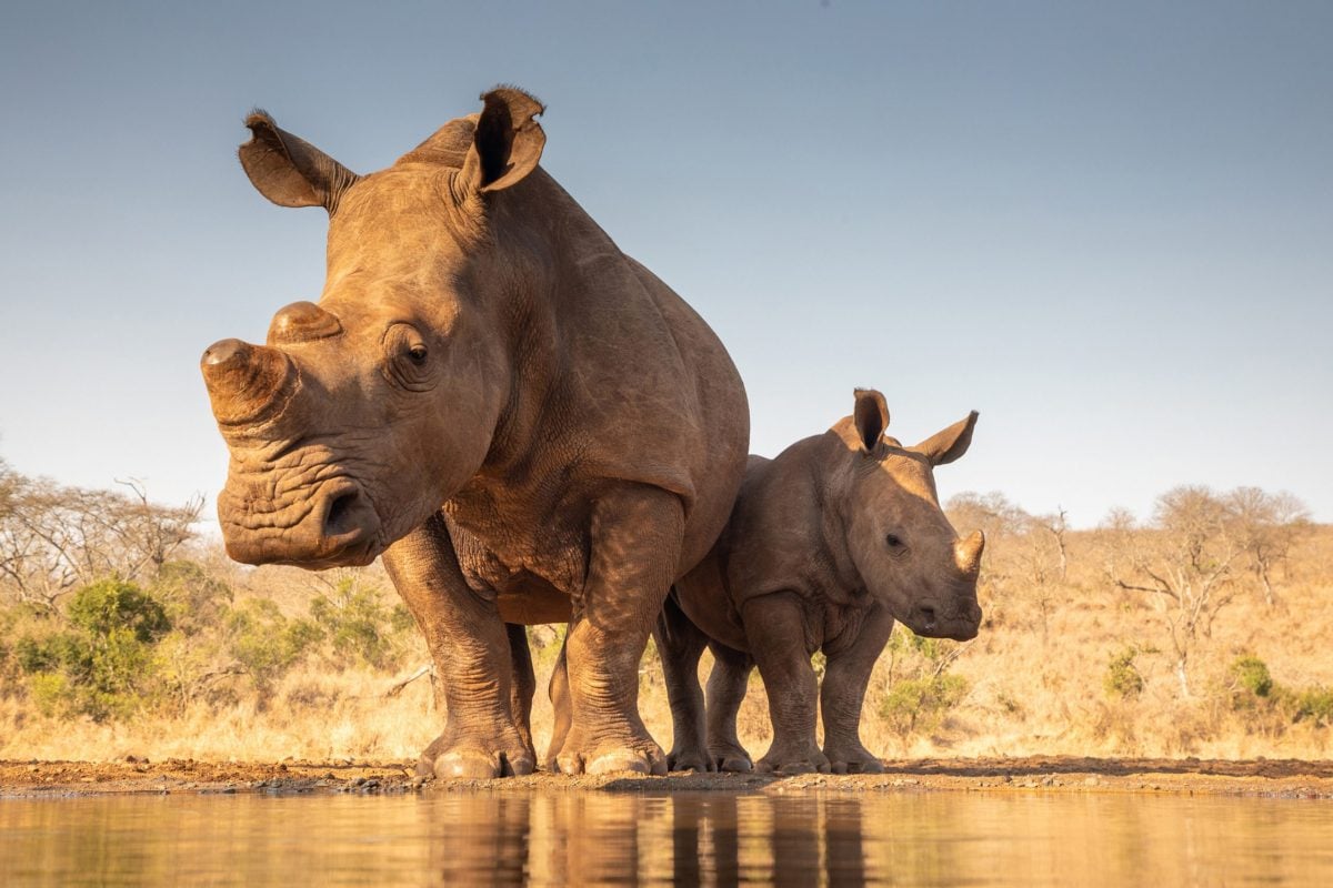MKOMAZI-NATIONAL-PARK
