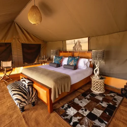 Tanzania Luxury Safari