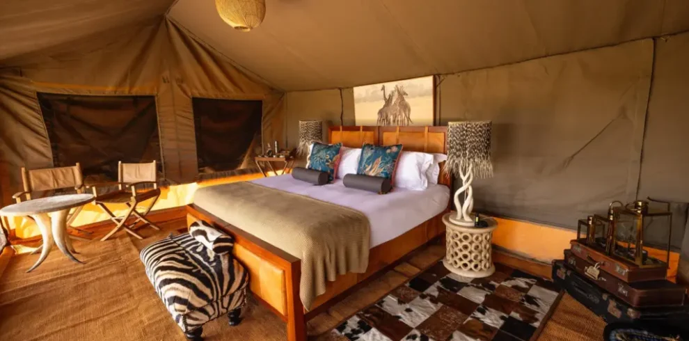 Tanzania Luxury Safari