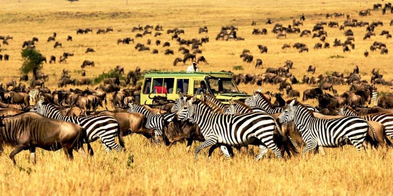 The Best Time to Visit Tanzania