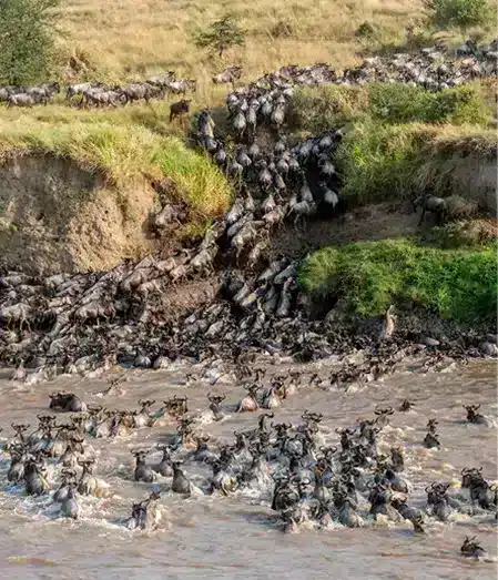 vacation To Tanzania