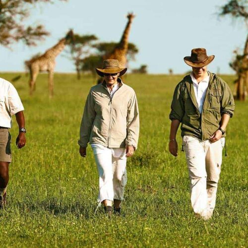 sabora tented camp