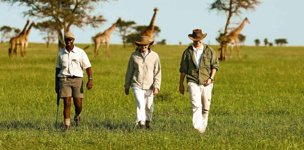 sabora tented camp