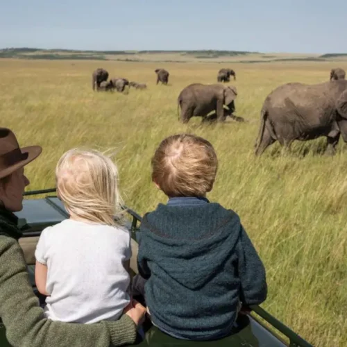 10 Days Tanzania Luxury Honeymoon Safari