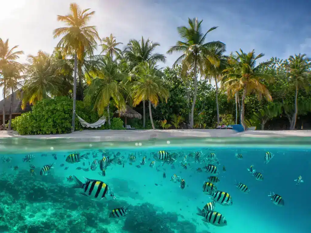 zanzibar Island