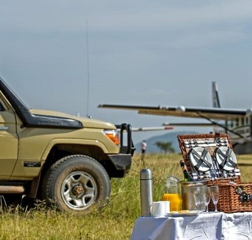 3 Days Tanzania Luxury Safari