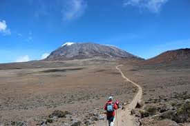 where is kilimanjaro Mountain