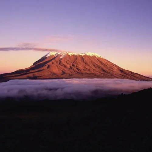 7 Days Kilimanjaro Lemosho Route