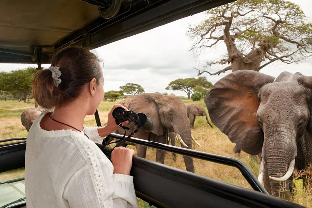 Tarangire elephant safari Tanzania