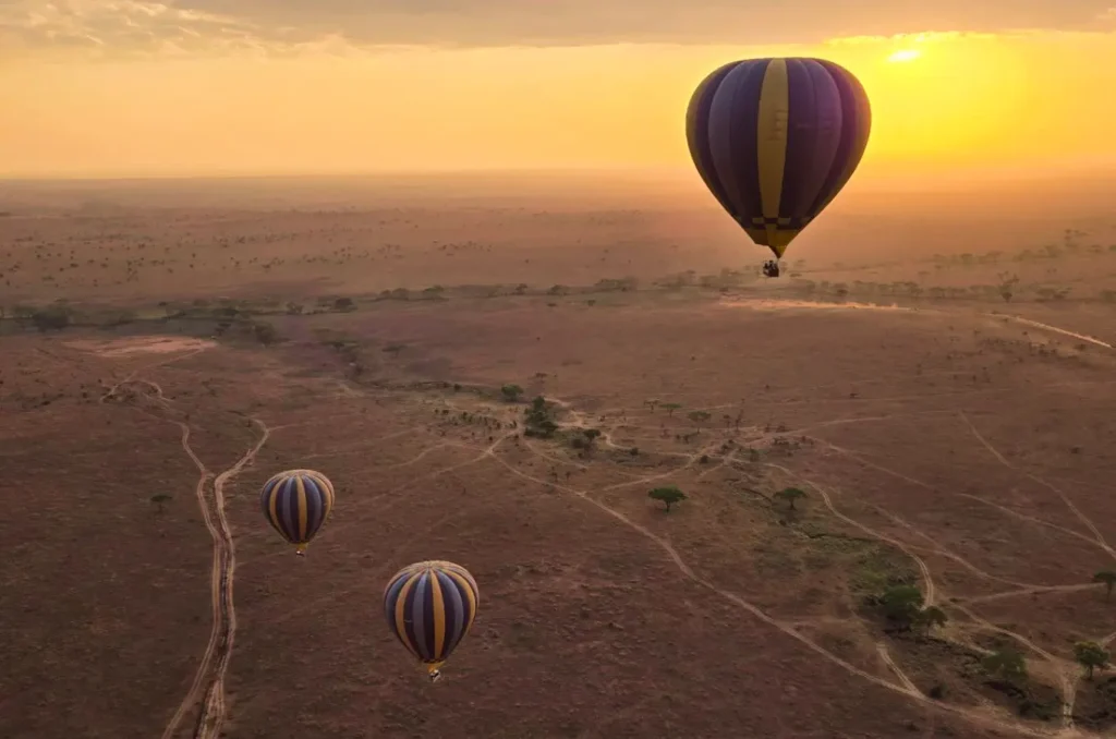 Tanzania Private Safari Guide for 2026, 2027, 2028, 2029 And 2030