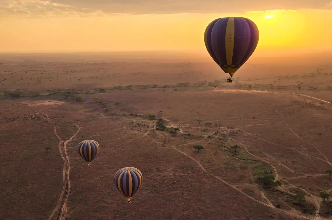Tanzania Private Safari Guide for 2026, 2027, 2028, 2029 And 2030